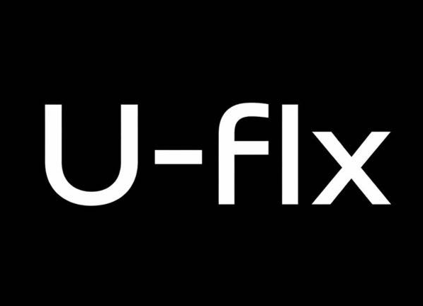 U-flx Company Logo